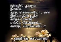 IMG_20250317_112334.jpg